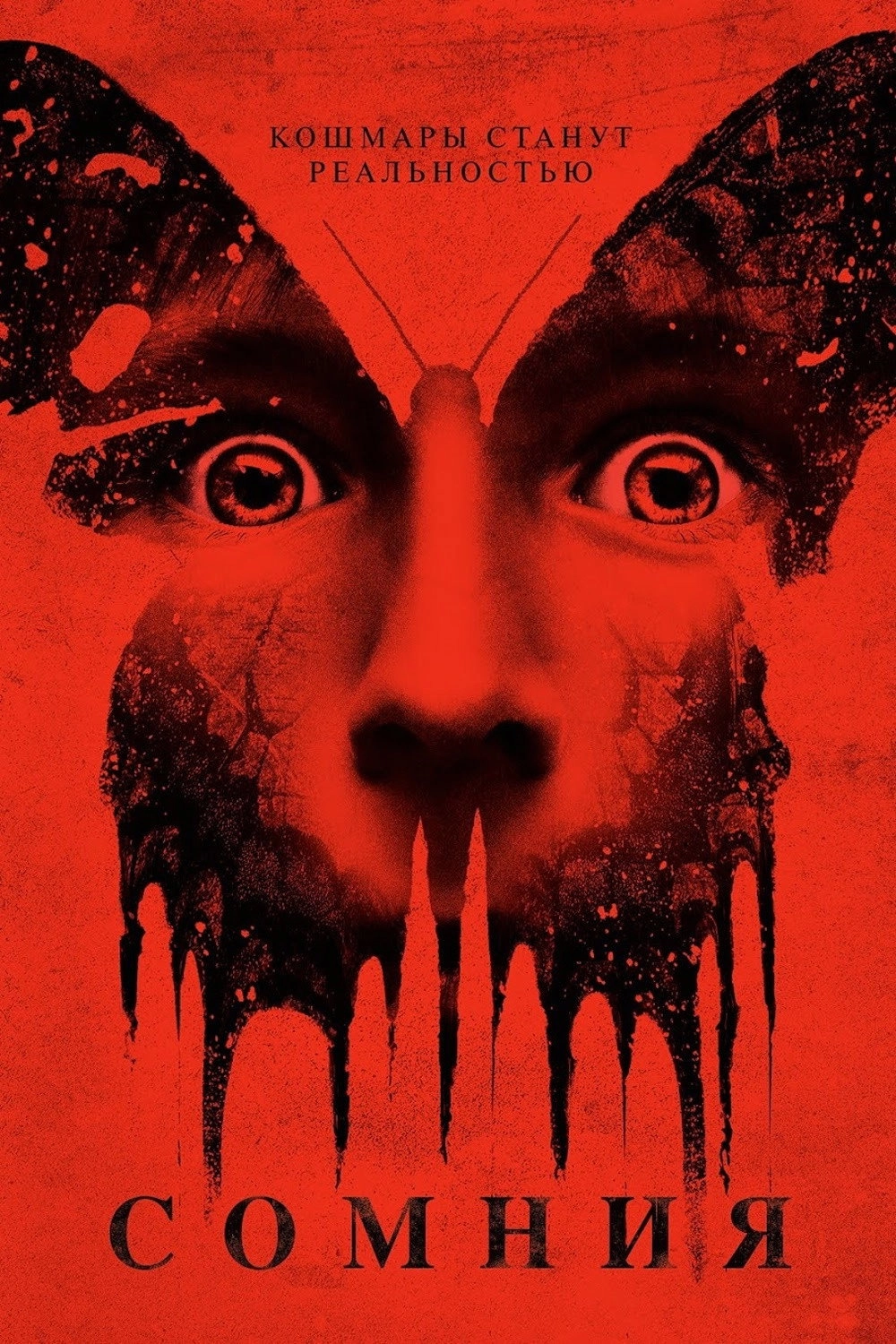 Before I Wake