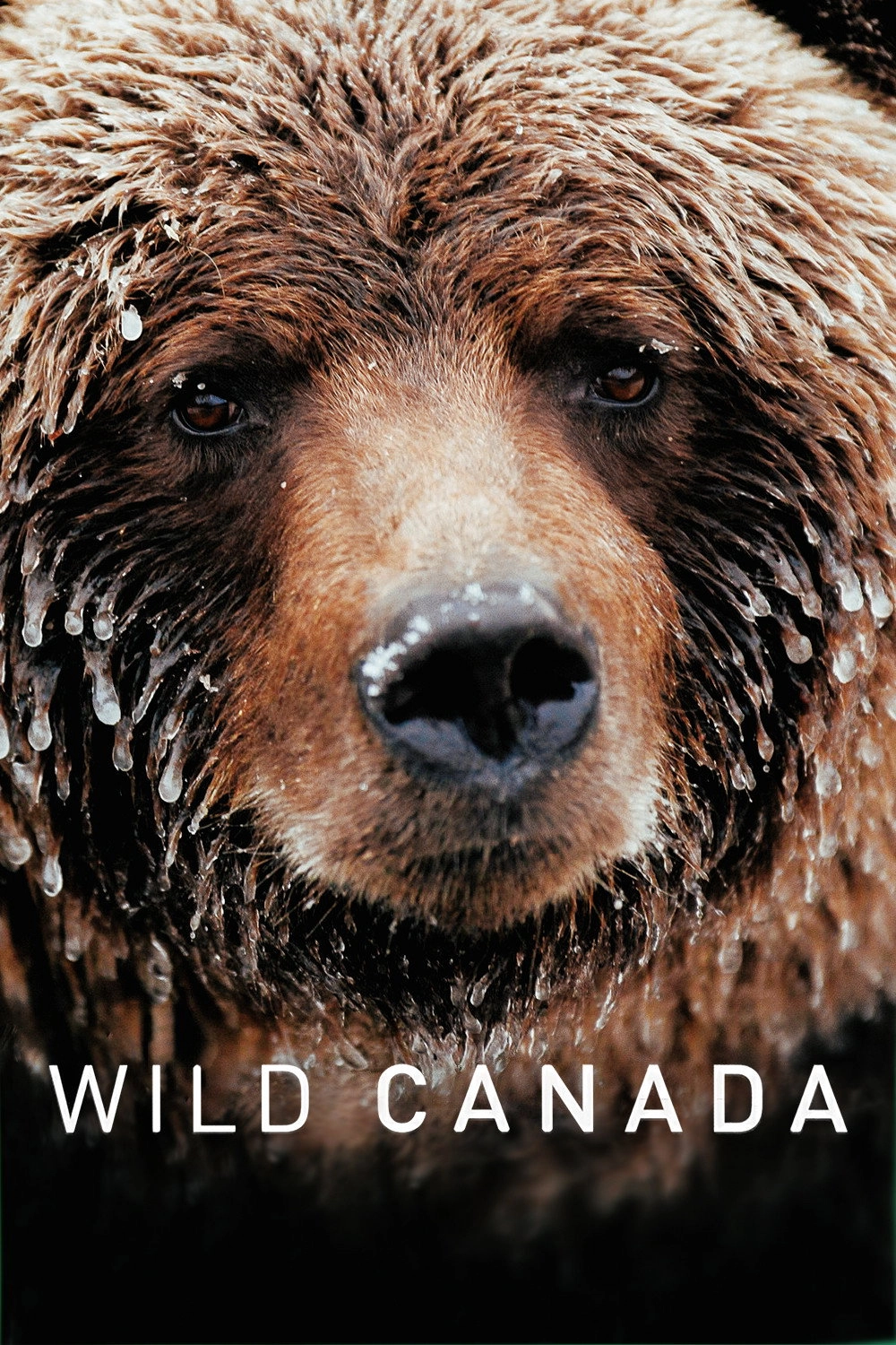 Wild Canada