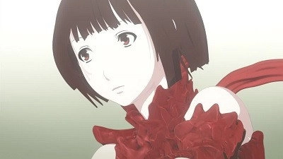 Knights of Sidonia