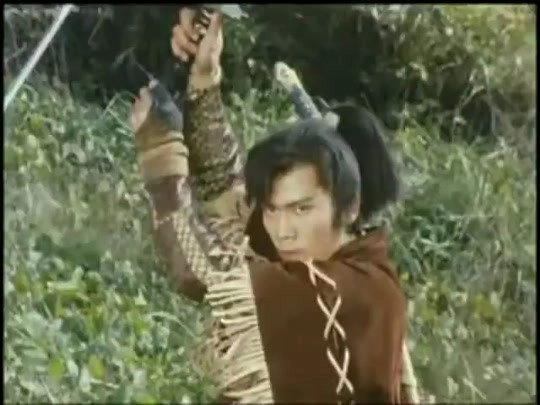 The Extraordinary Lion Knight