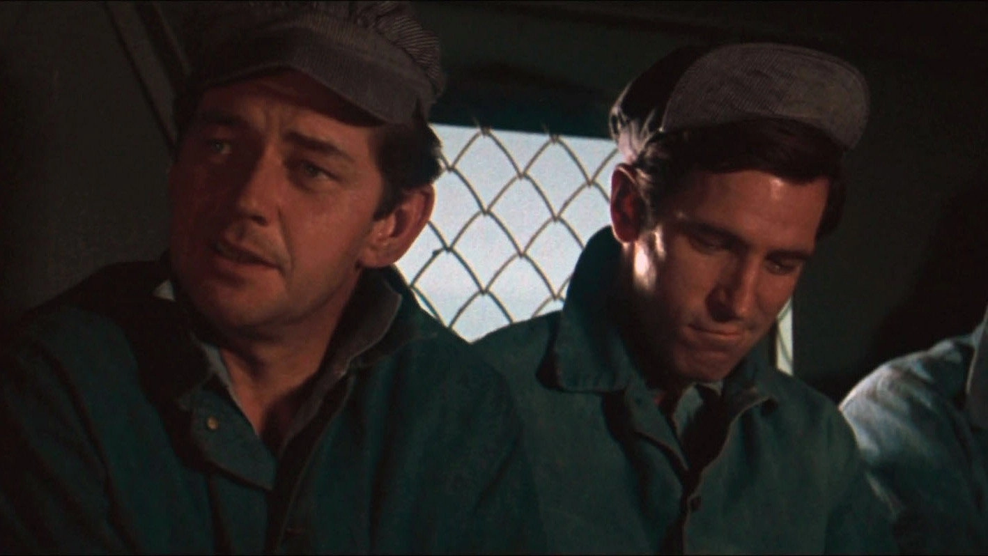 Cool Hand Luke