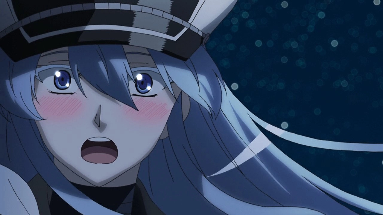 Akame ga Kill!