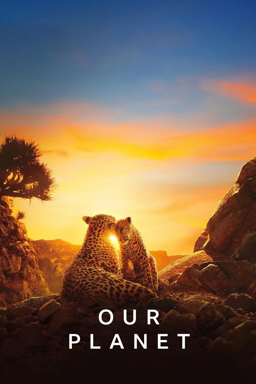 Our Planet