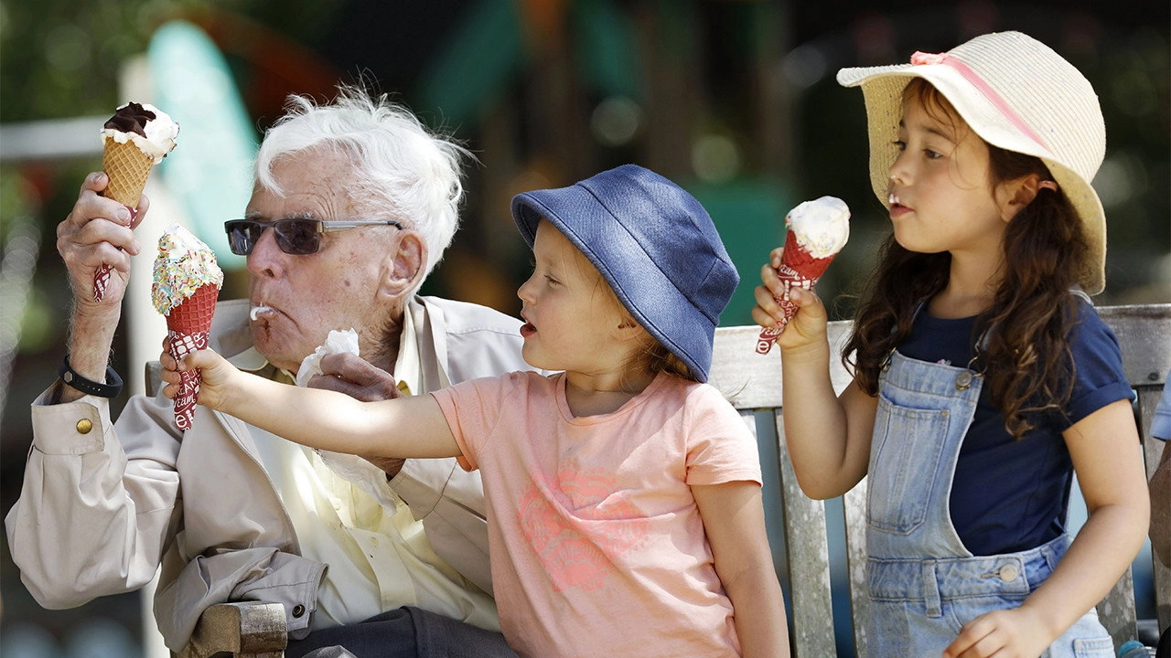 Old People's Home for 4 Year Olds