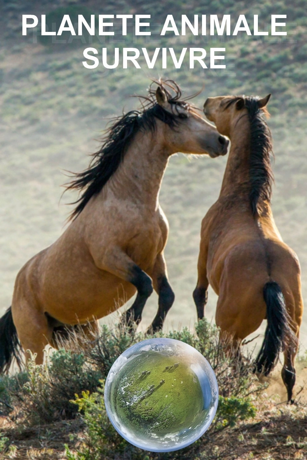 Planet Earth II