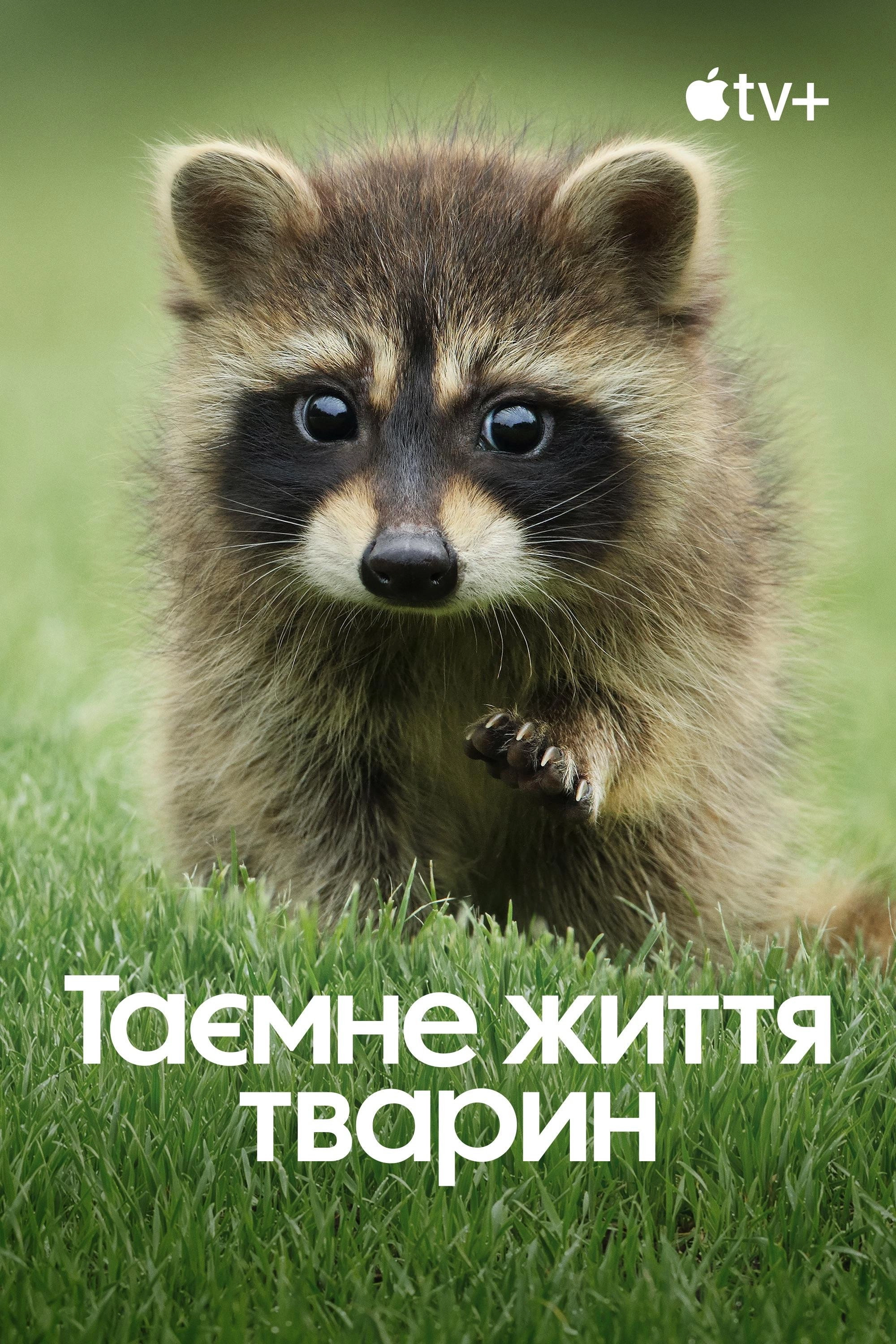 The Secret Lives of Animals