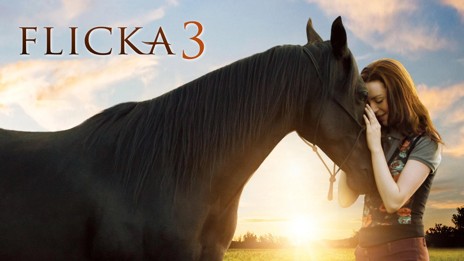 Flicka: Country Pride