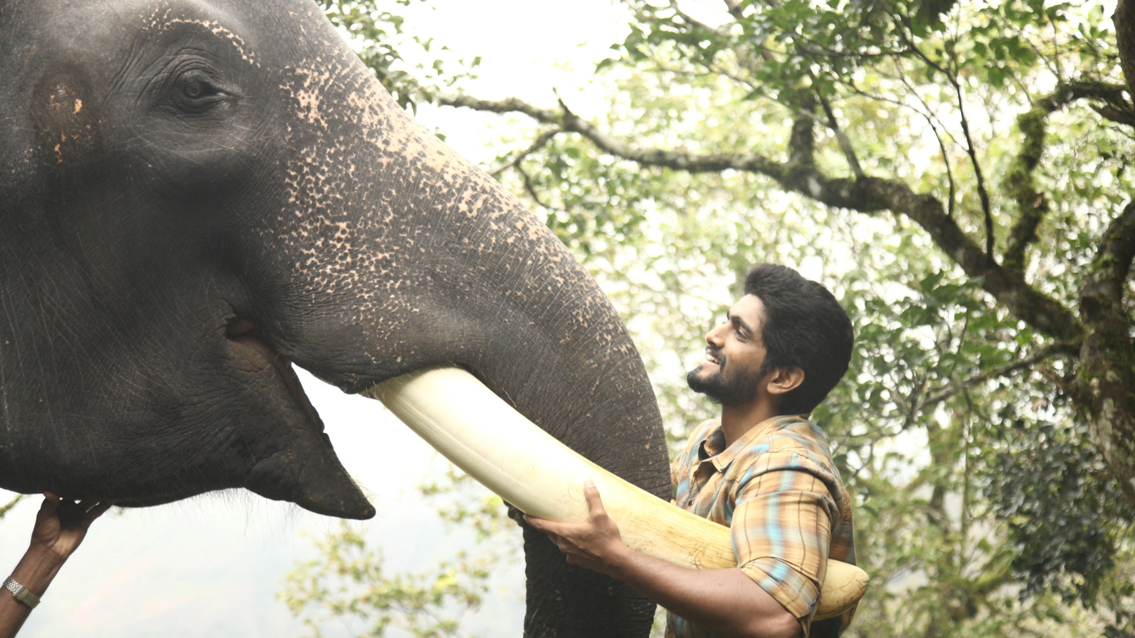 Kumki 2