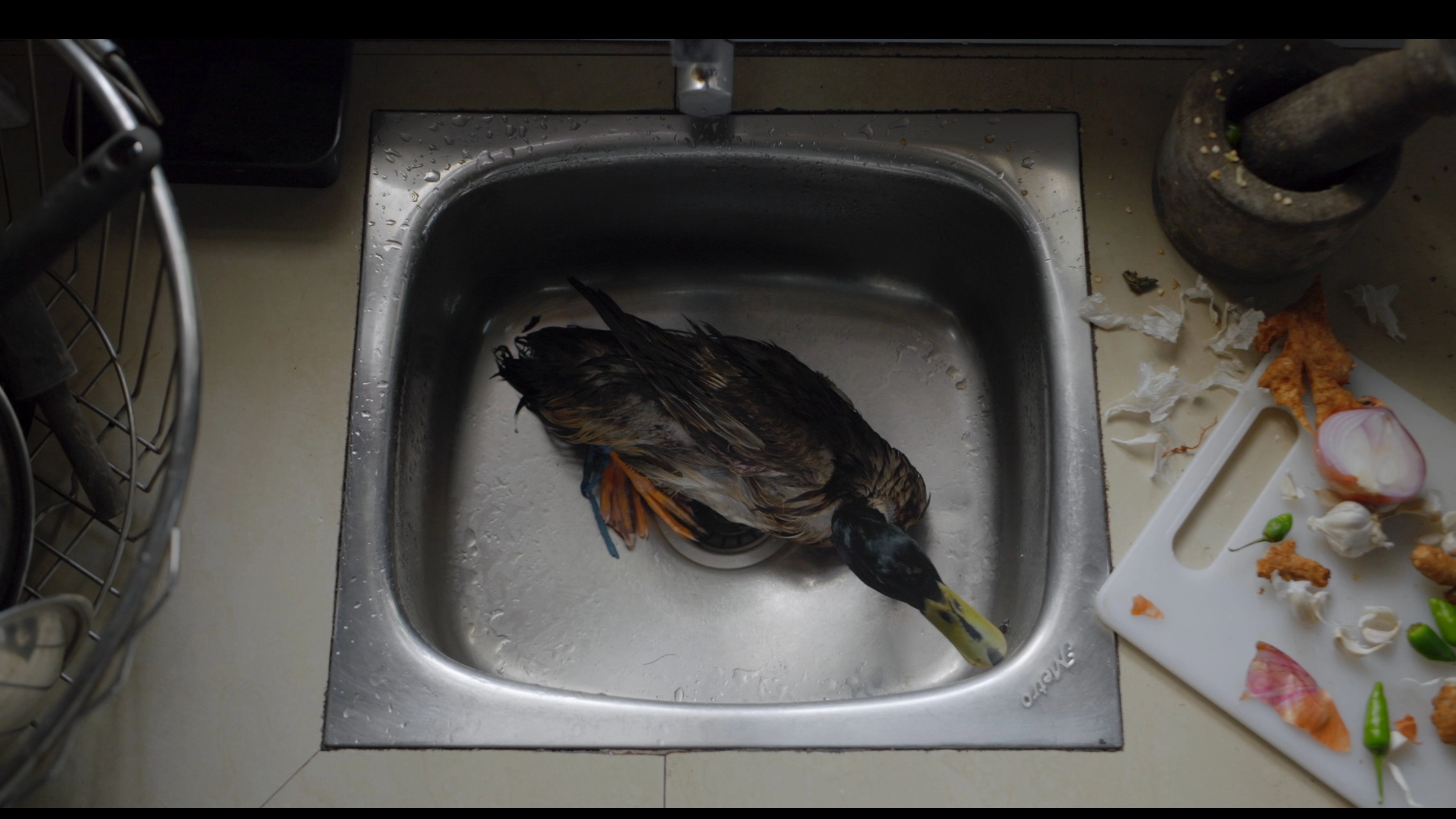 a duck tale