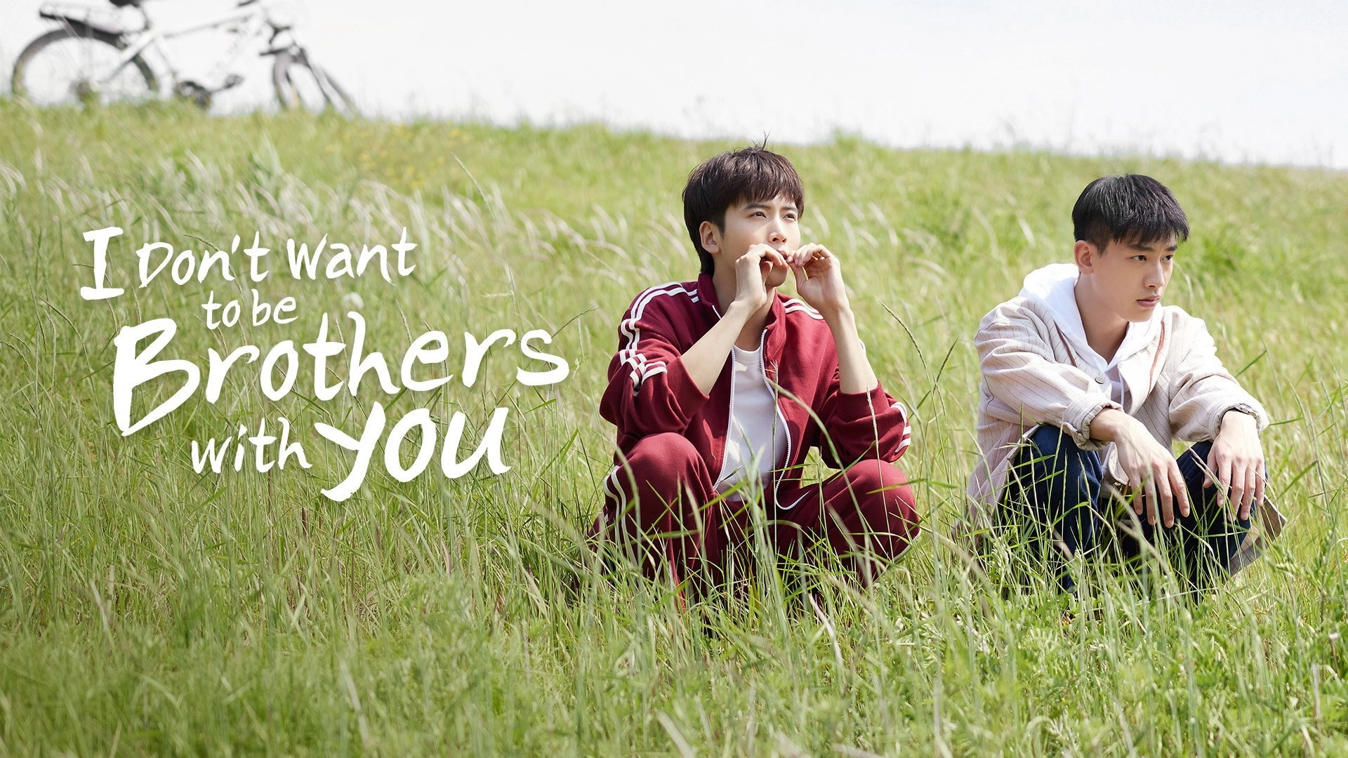 I Don't Want to be Brothers with You