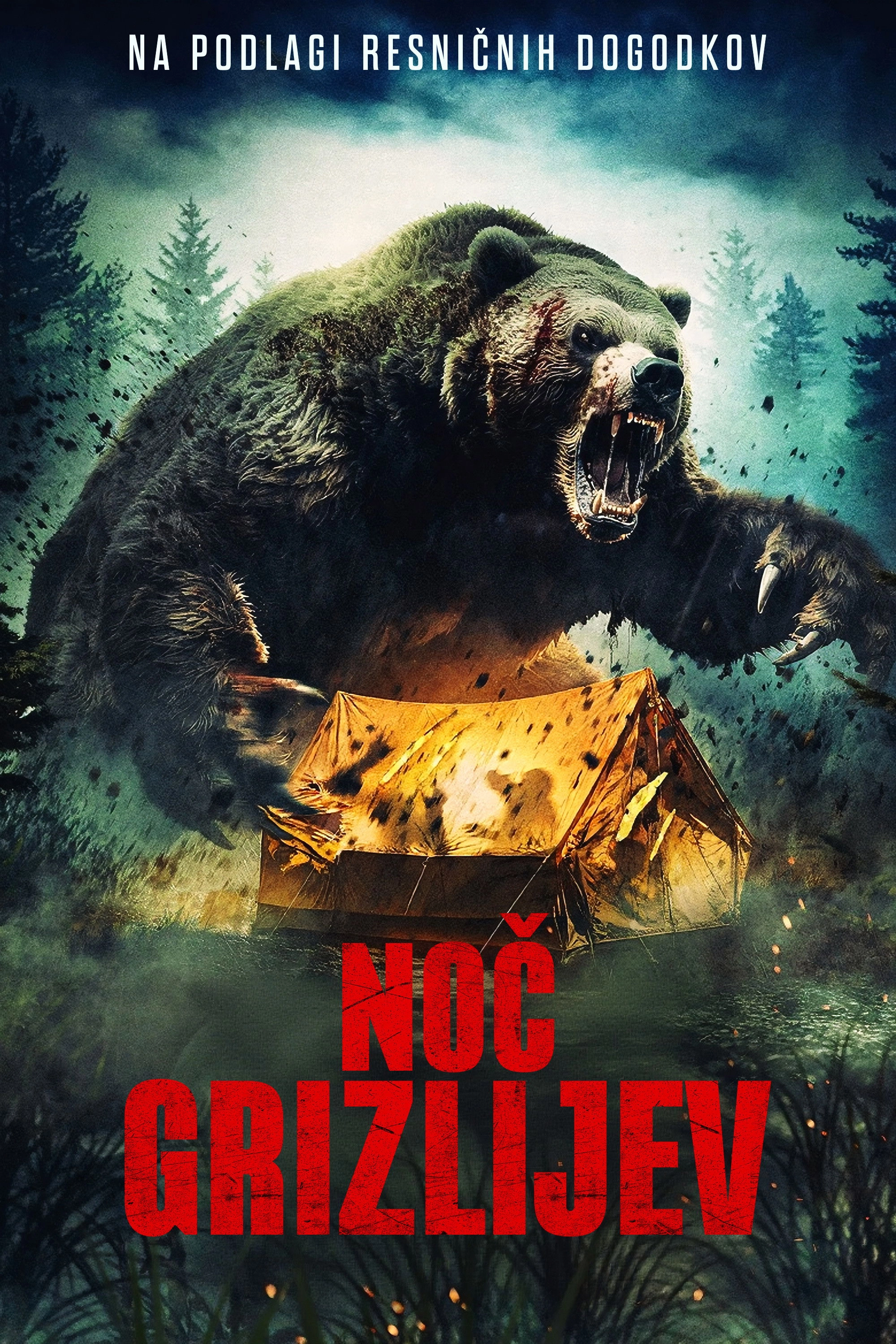 Grizzly Night