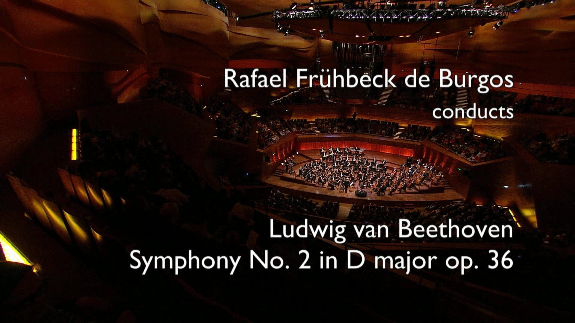 Beethoven: The Symphonies (Rafael Frühbeck de Burgos Conducts the Danish National Symphony Orchestra)
