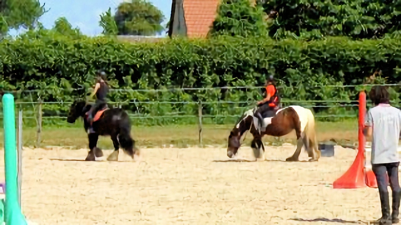 Au galop ! une saison à cheval