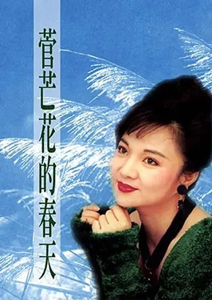 菅芒花的春天