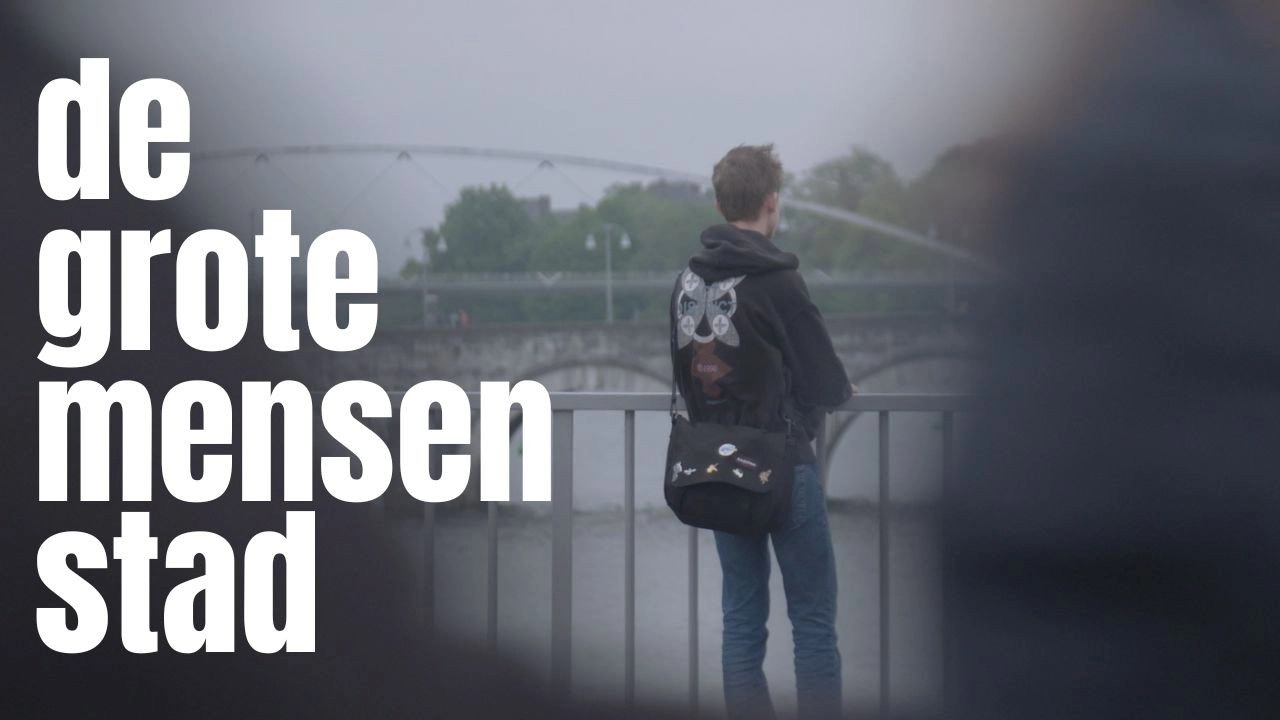 De Grote Mensen Stad