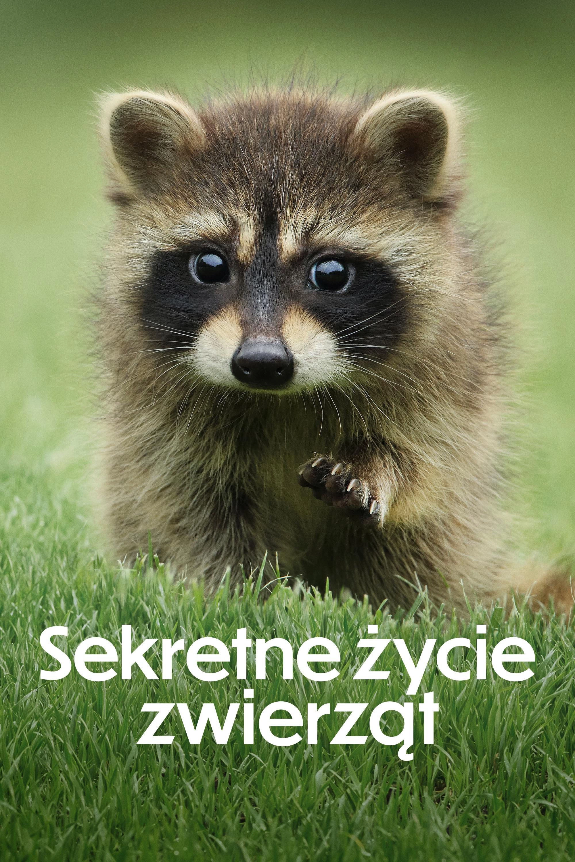 The Secret Lives of Animals