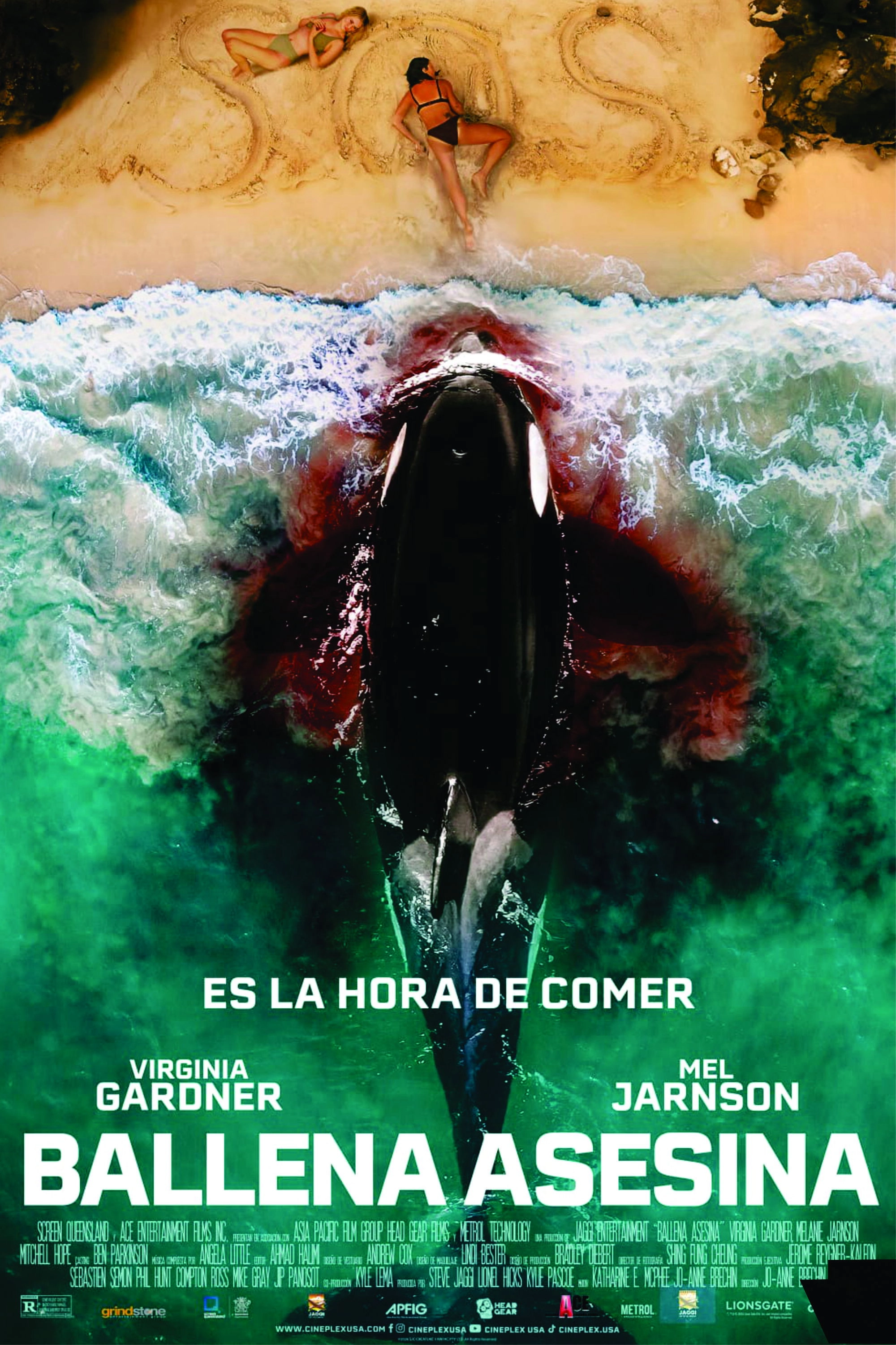 Killer Whale