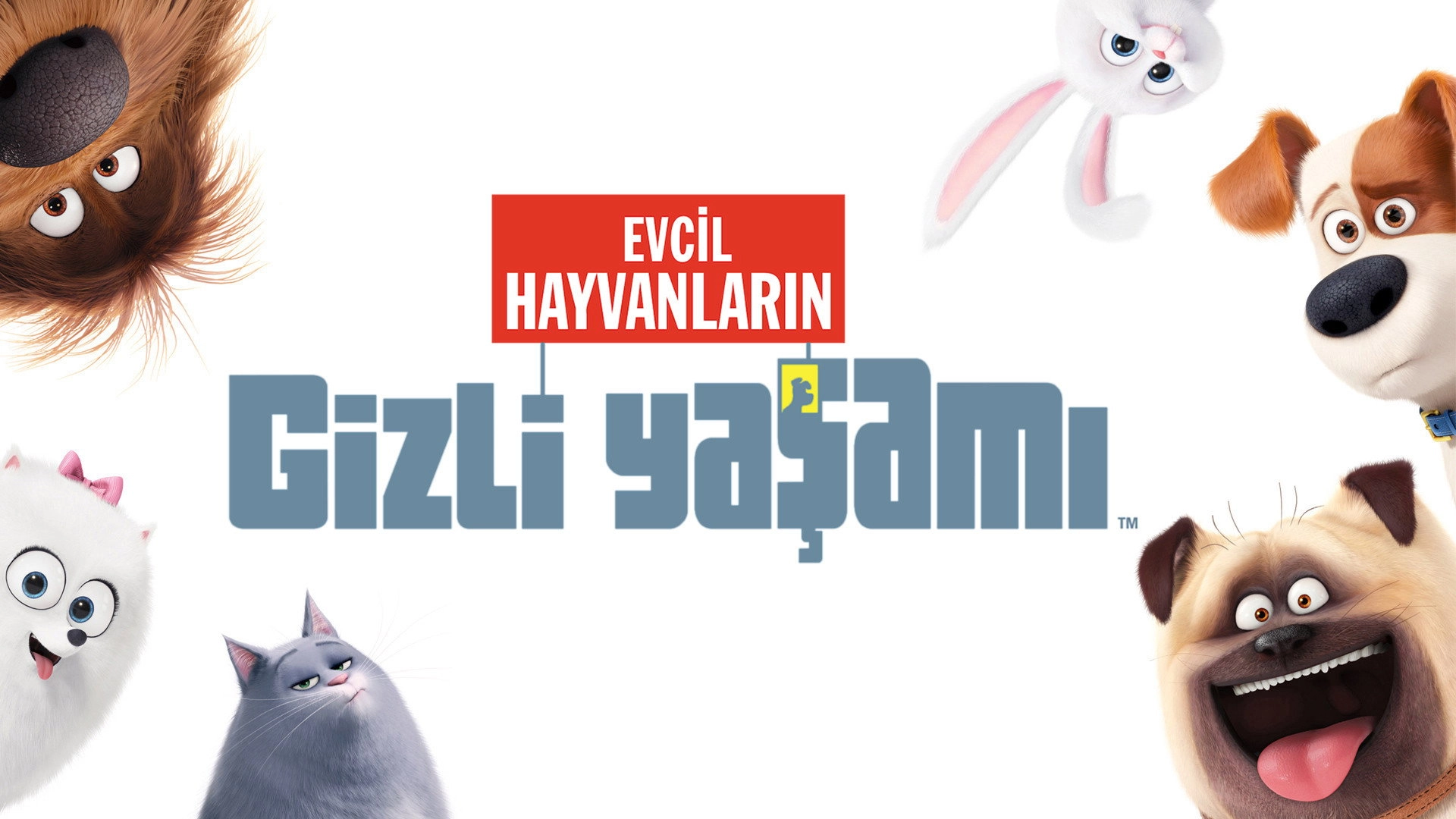 The Secret Life of Pets