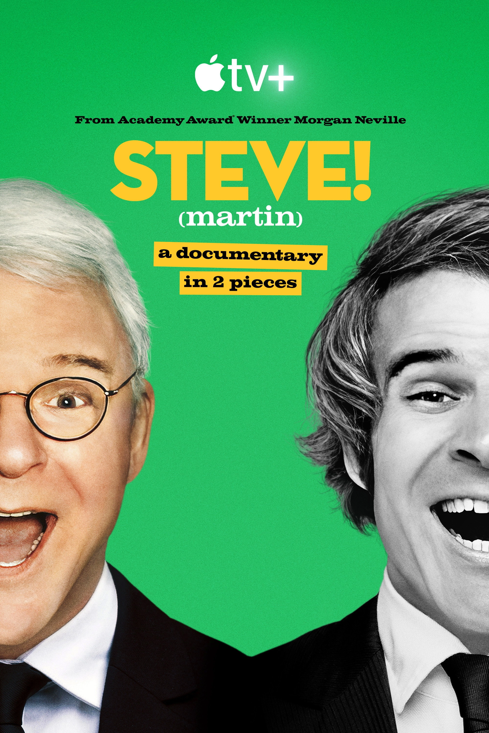 STEVE! (martin) a documentary in 2 pieces