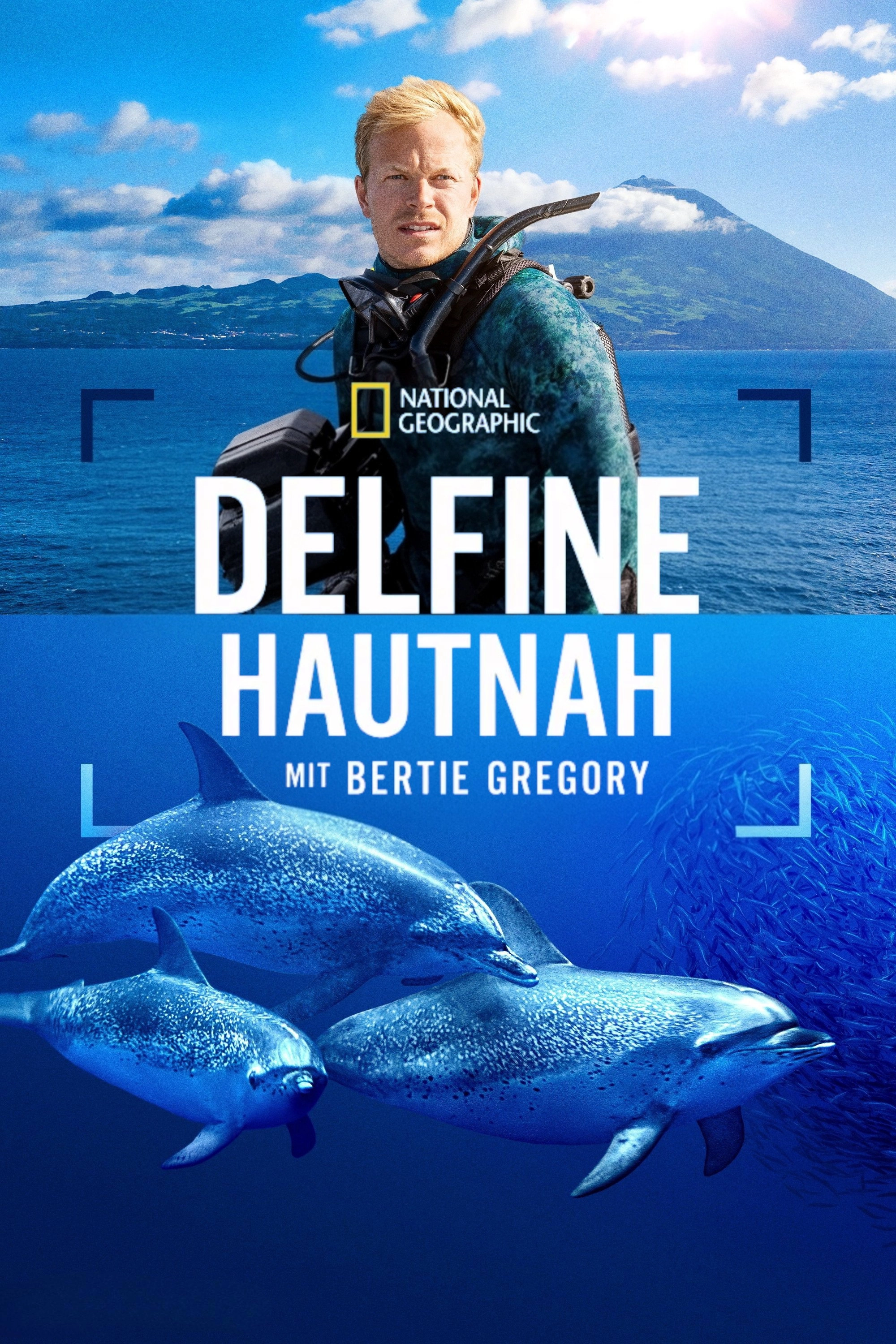 Dolphins Up Close with Bertie Gregory
