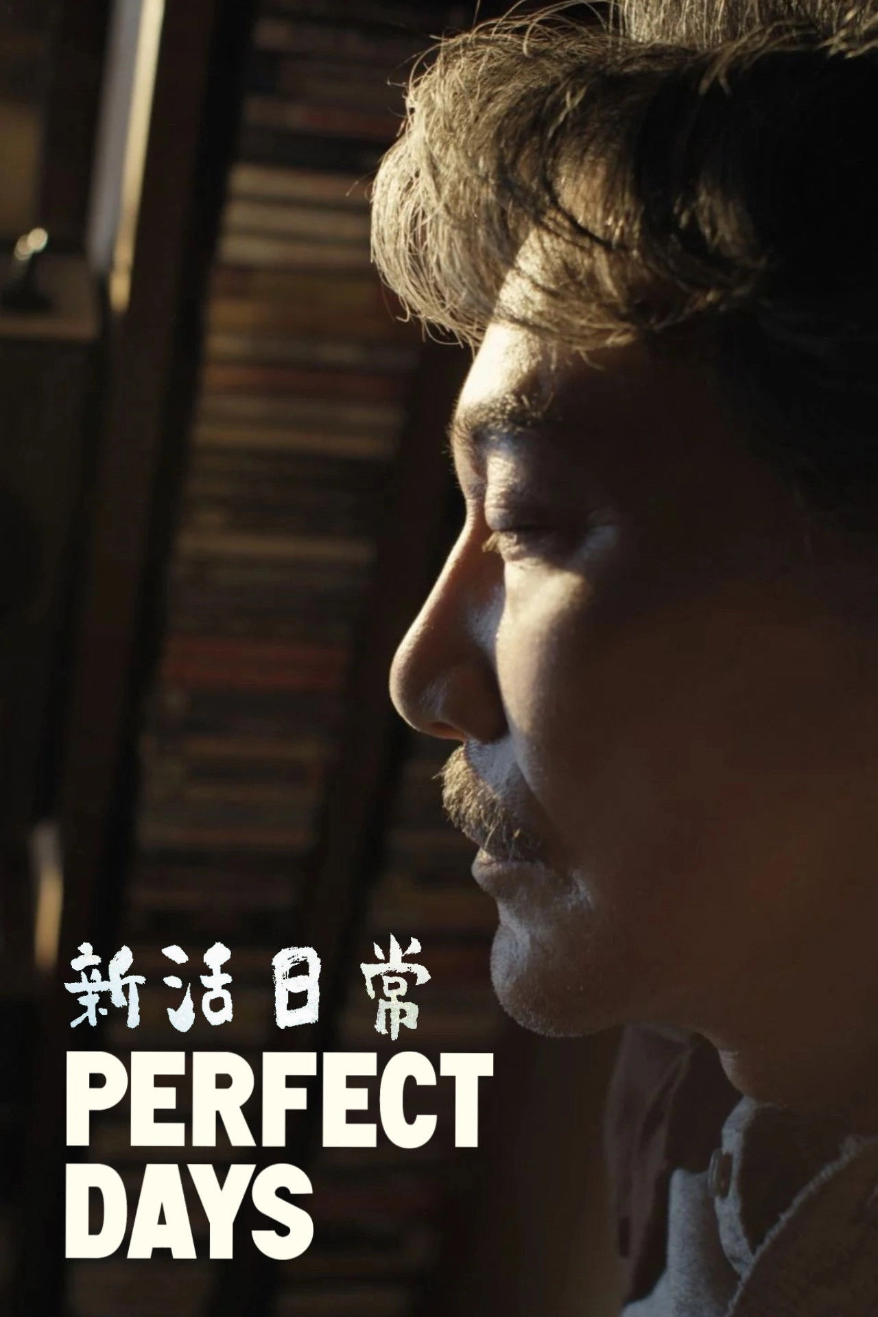Perfect Days