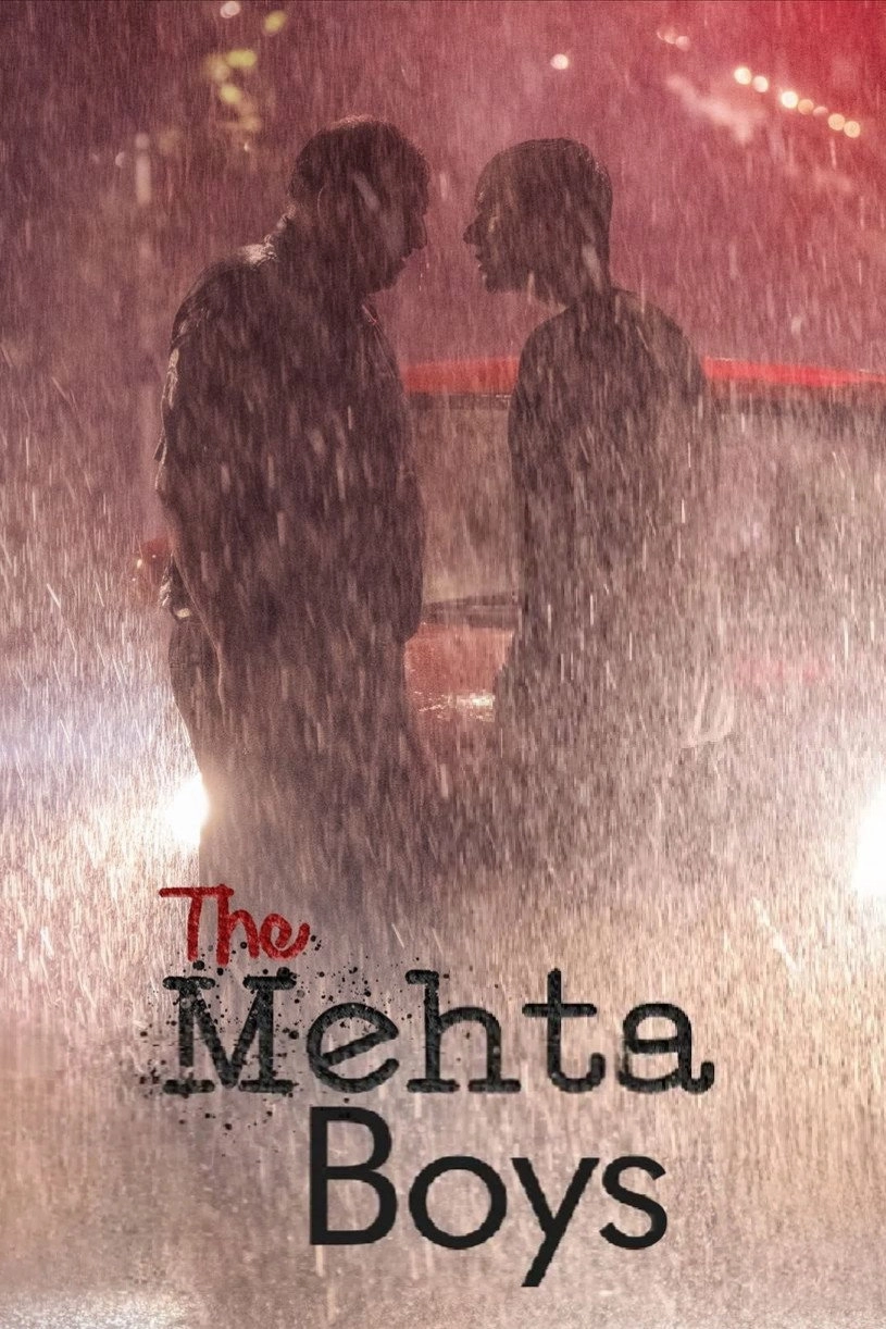 The Mehta Boys