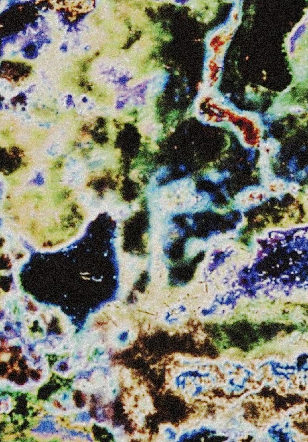 Nebula Rising