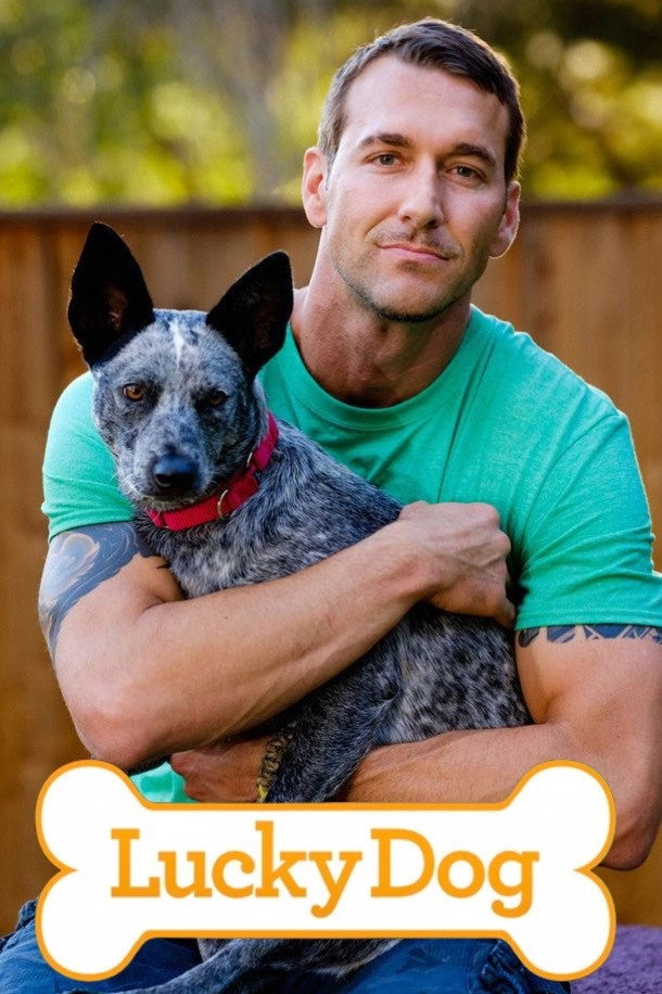 Lucky Dog