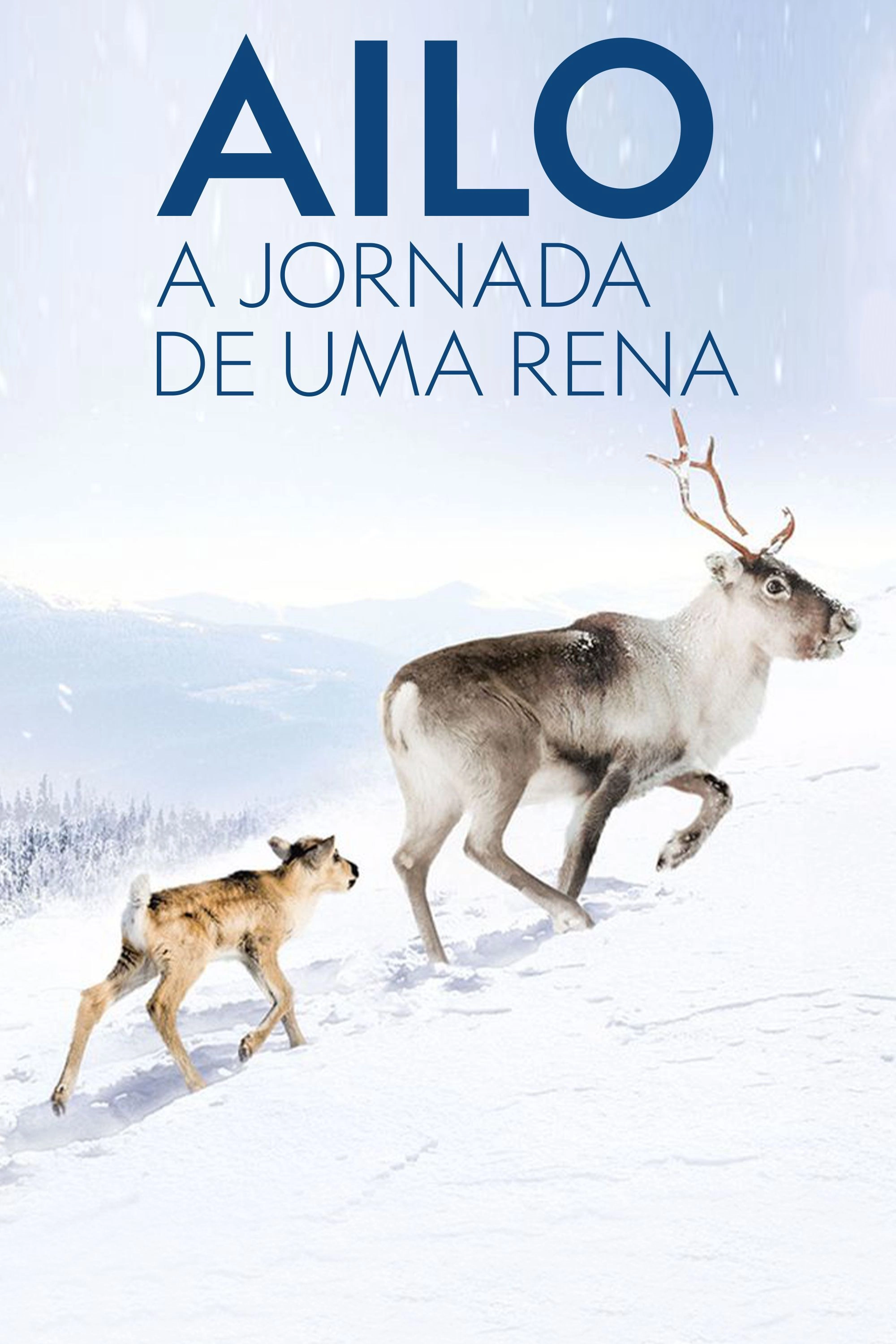 A Reindeer's Journey