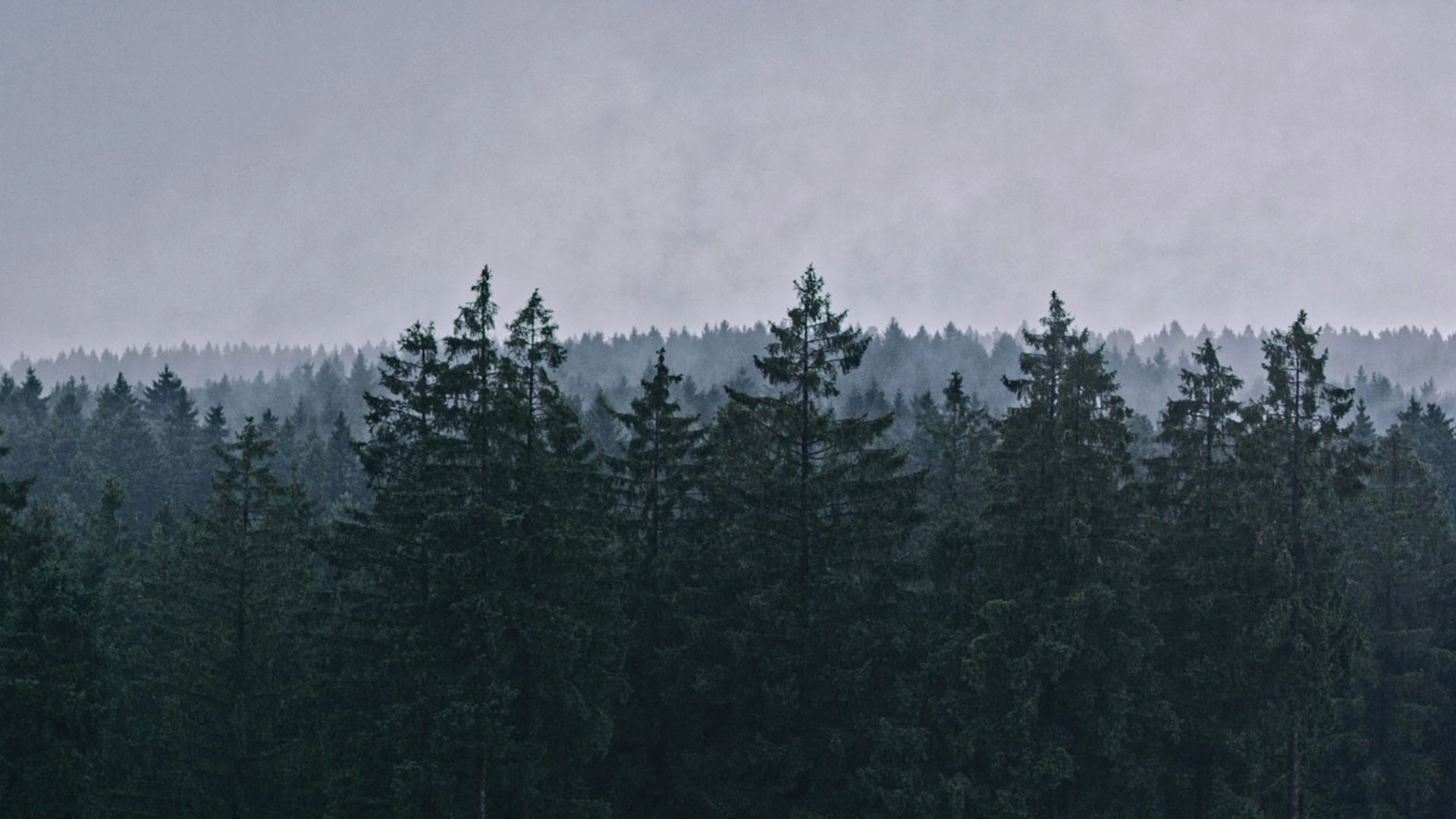 Until the Edge of the World