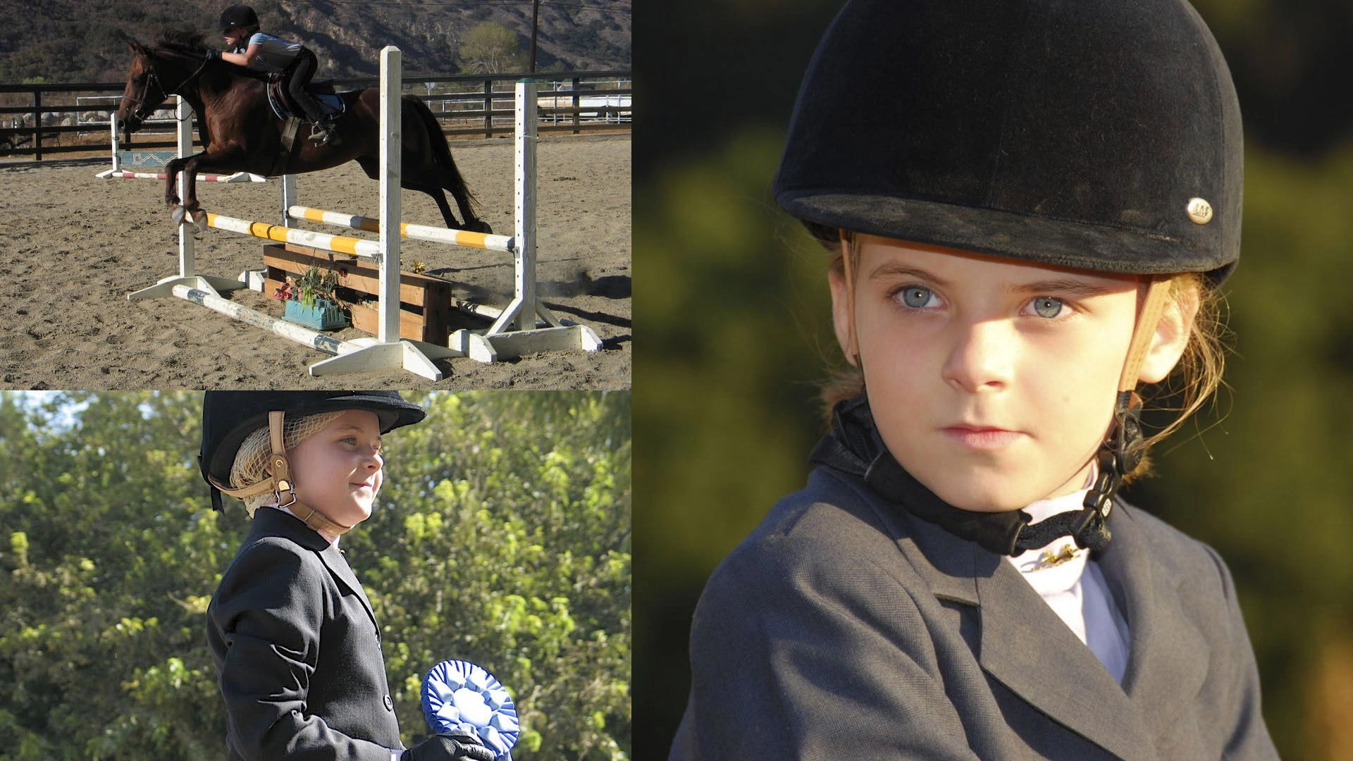 Stable Days: The Road to Jumping