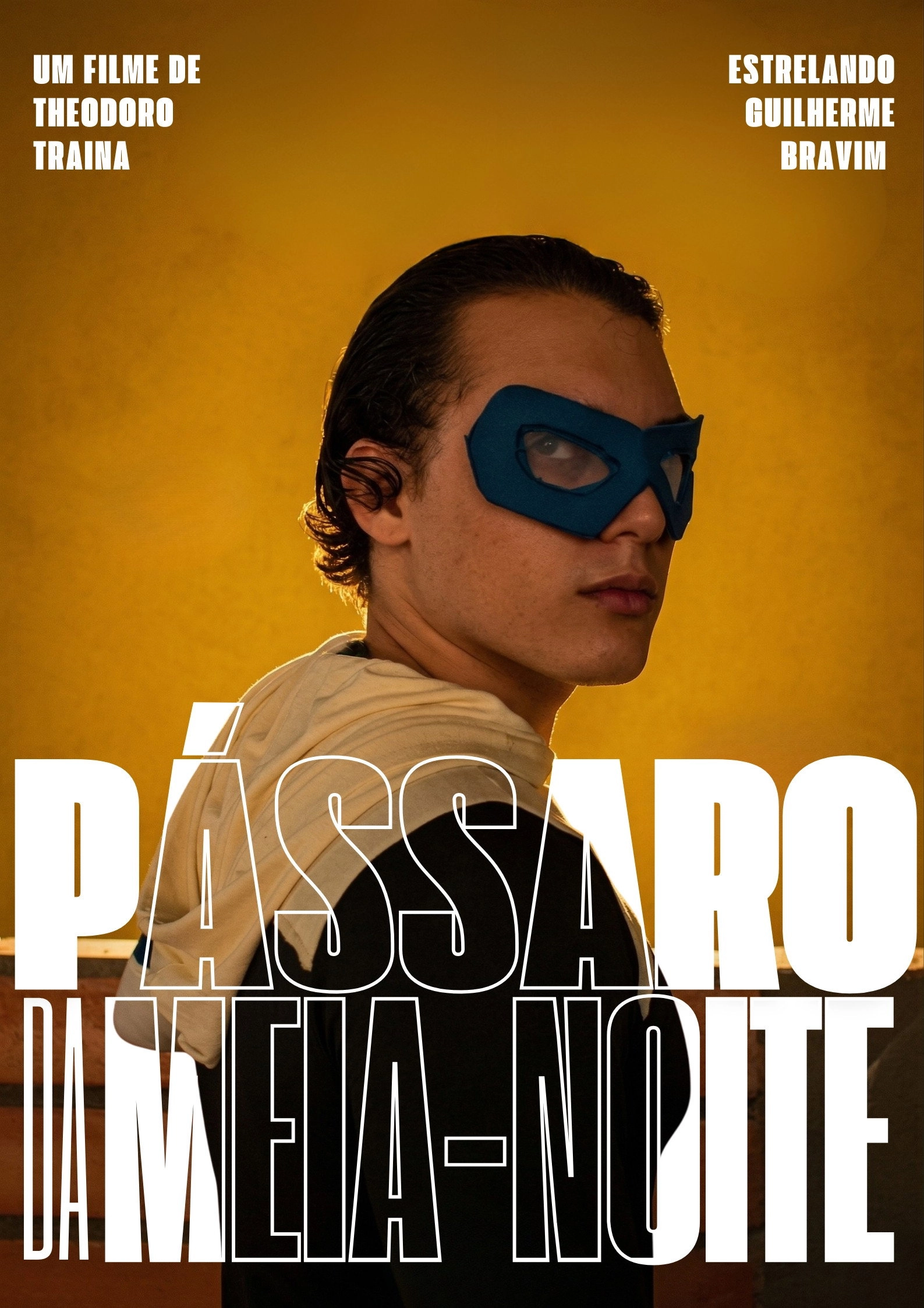 Pássaros da Meia noite