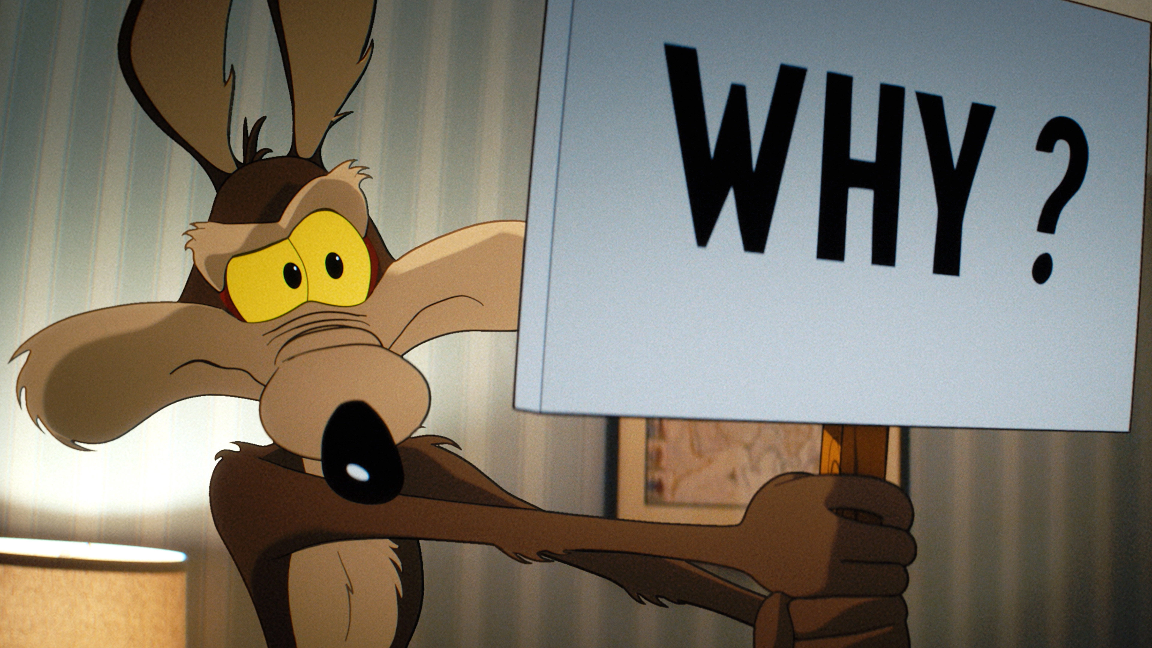 Coyote vs ACME
