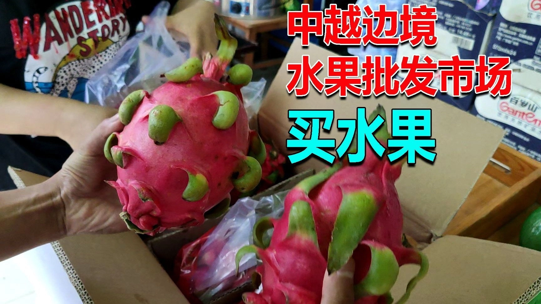 边疆巡游记