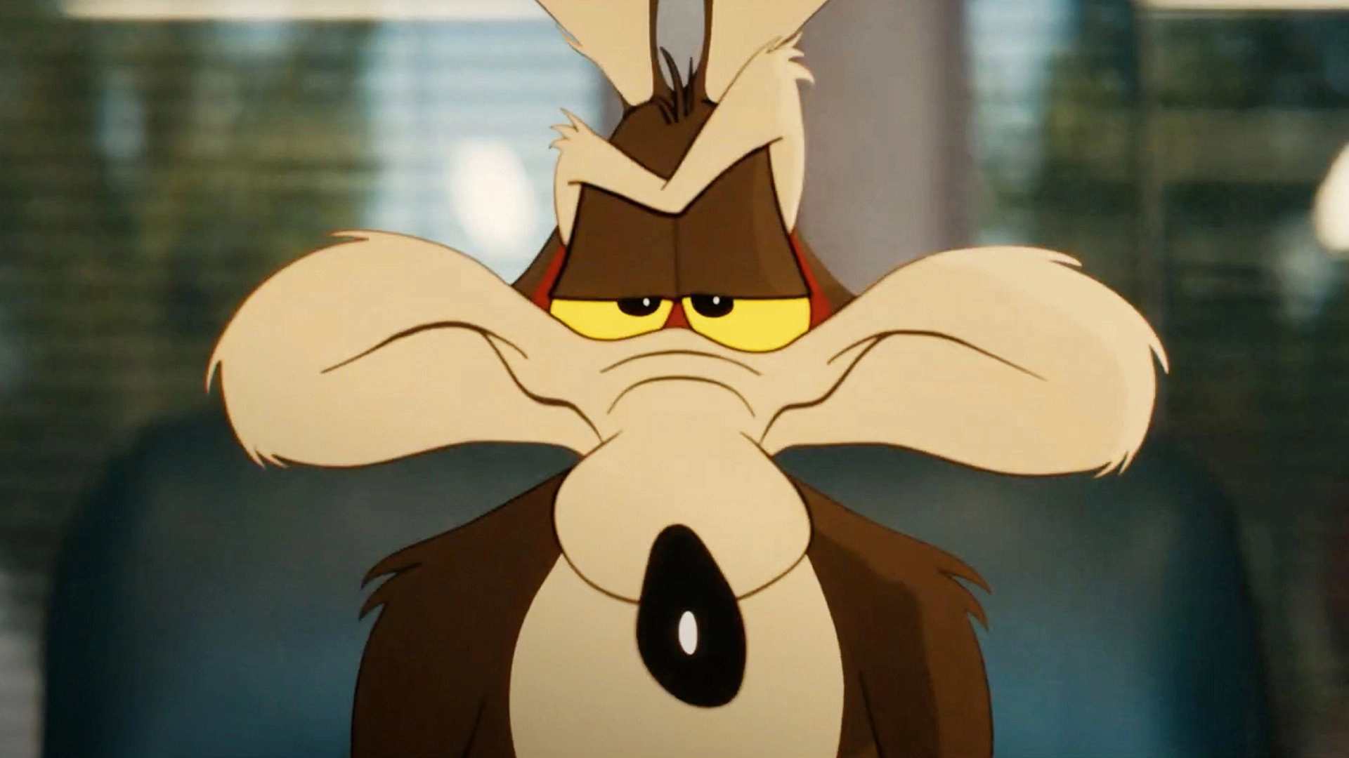 Coyote vs ACME