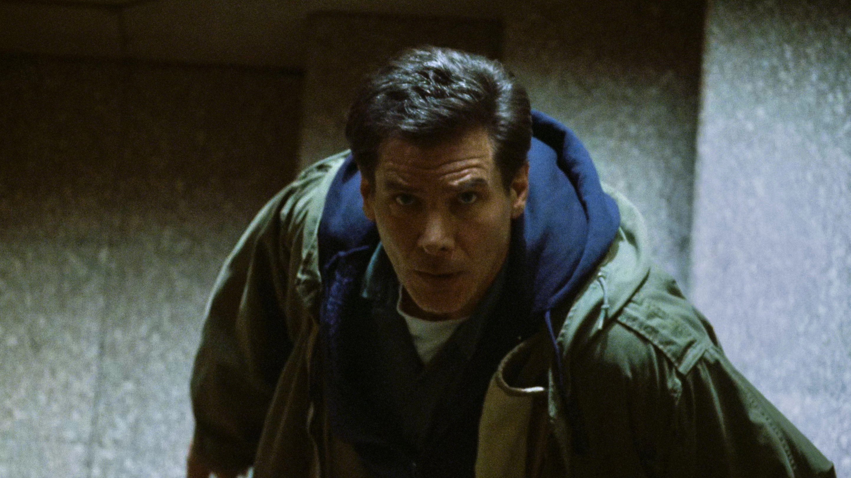 The Fugitive