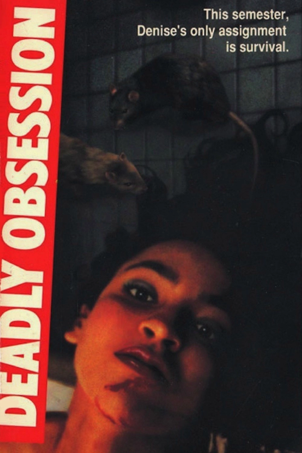 Deadly Obsession