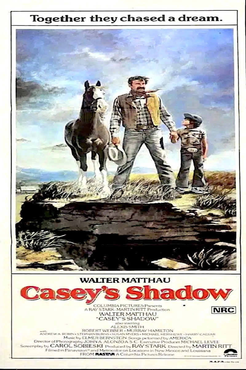 Casey's Shadow