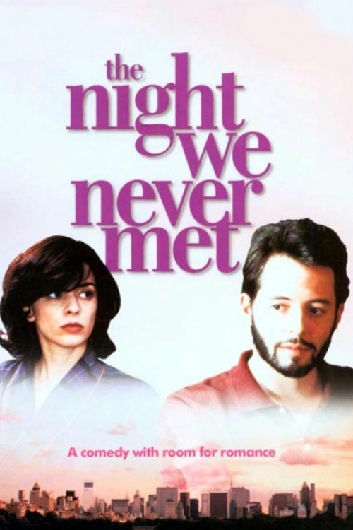 The Night We Never Met