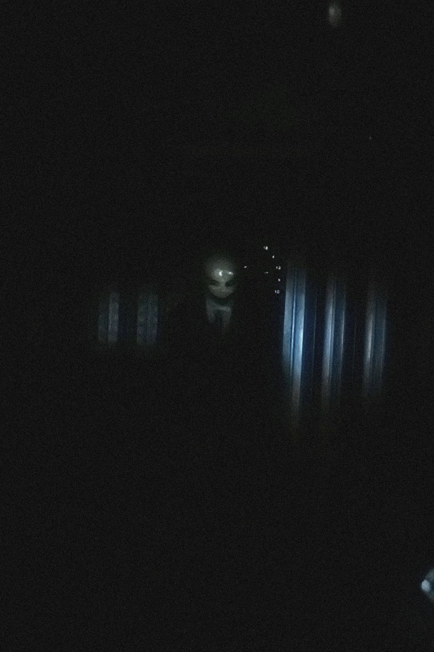 Look Inside