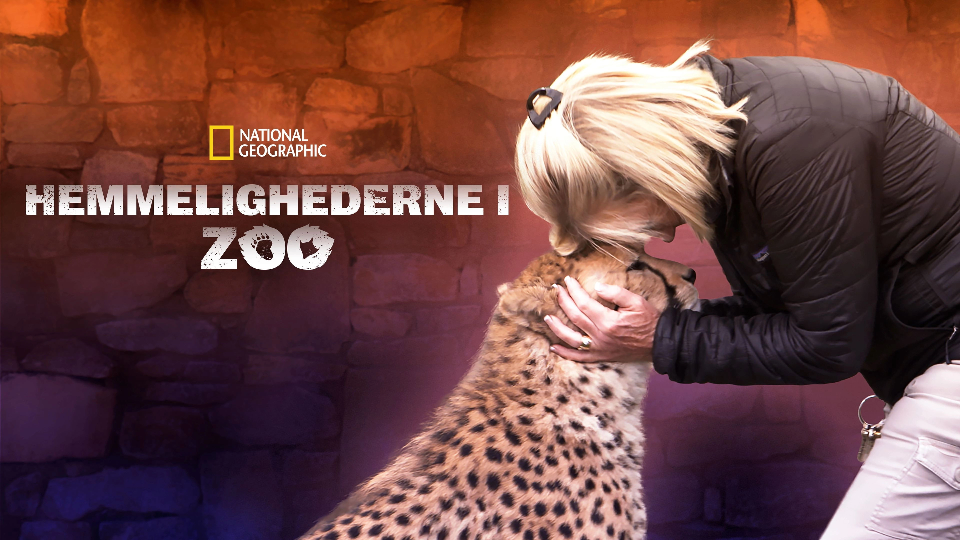 Secrets of the Zoo
