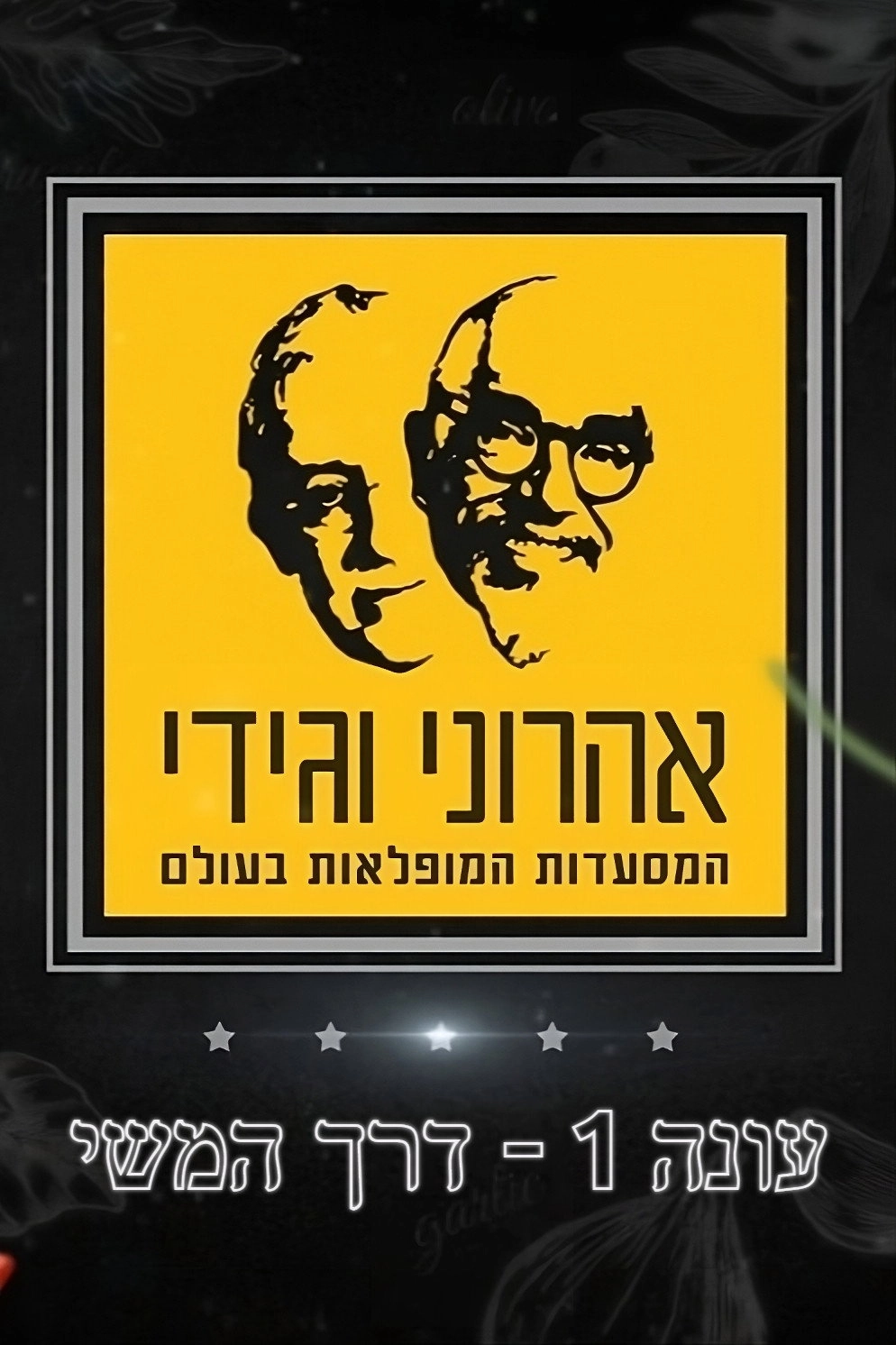 The Amazing Journey of Aharoni & Gidi