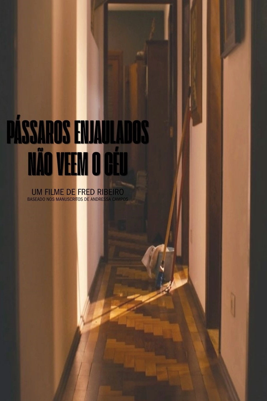 Pássaros Enjaulados Não Veem o Céu