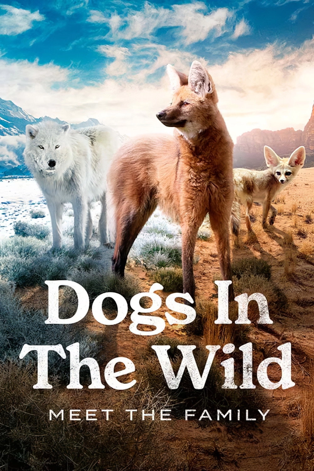 Dogs in the Wild: Meet the Family