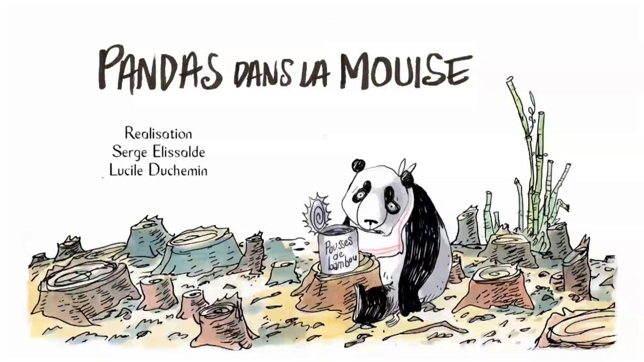 Pandas in the Mist