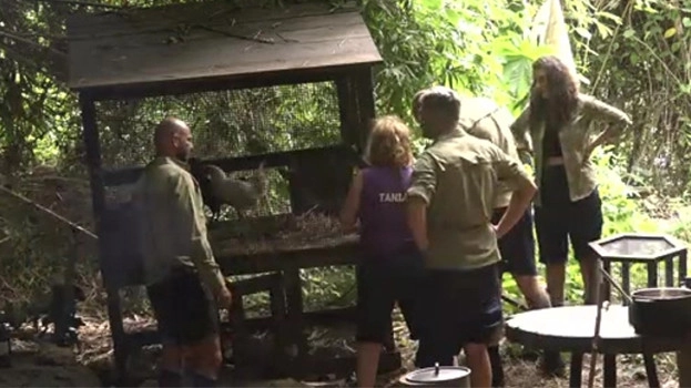 I'm a Celebrity: Get Me Out of Here!