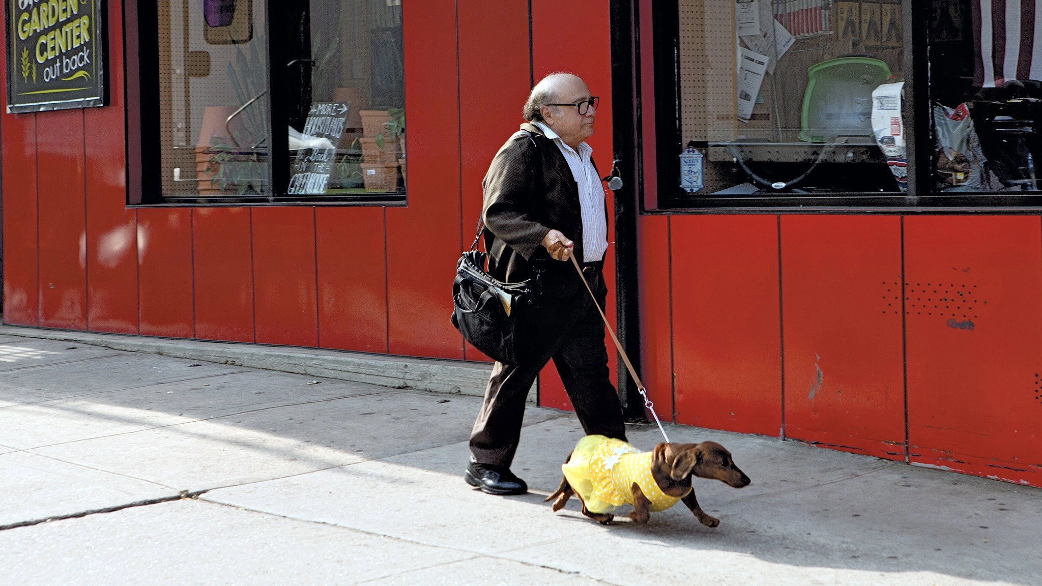 Wiener-Dog