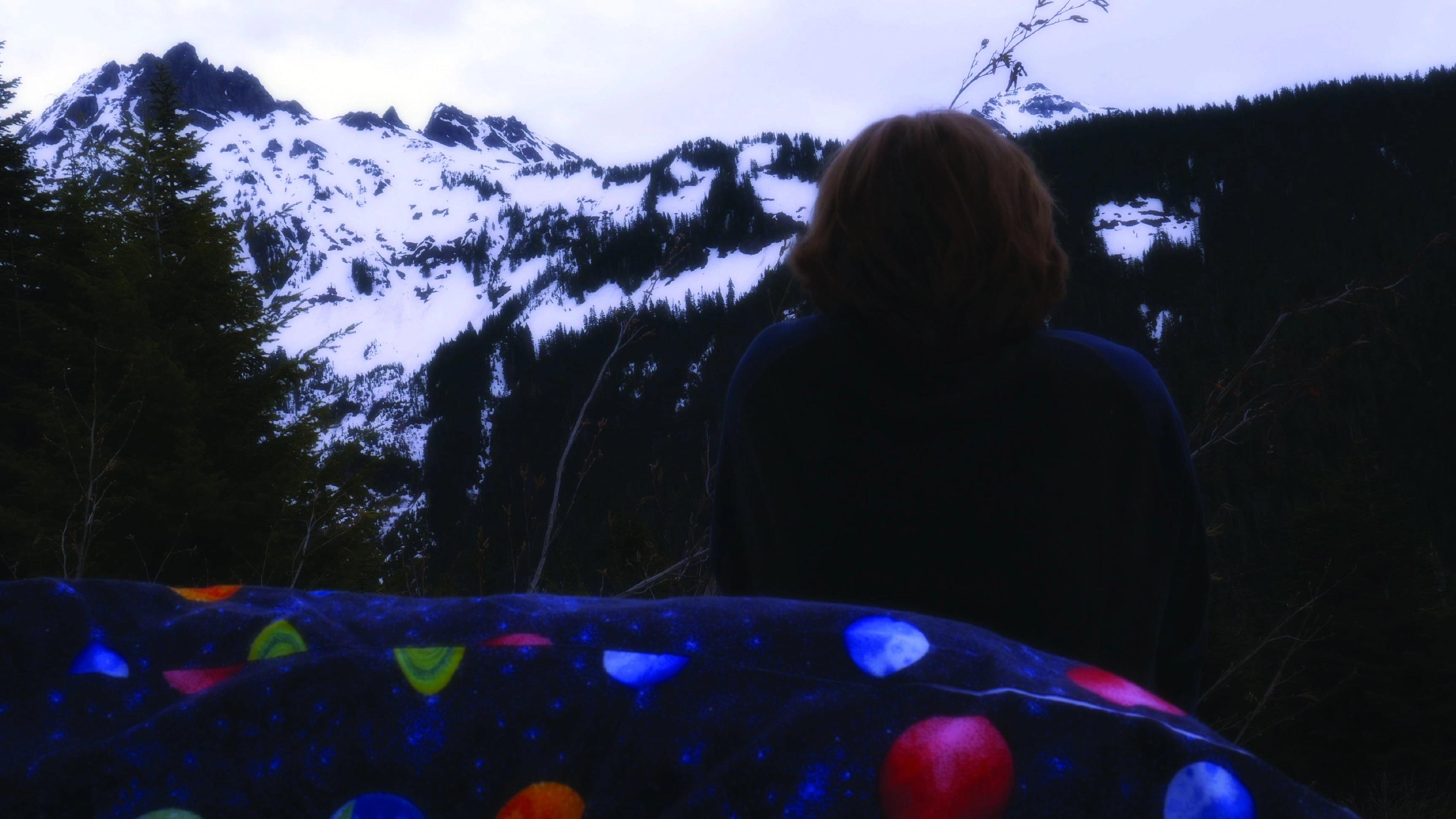 Lucid