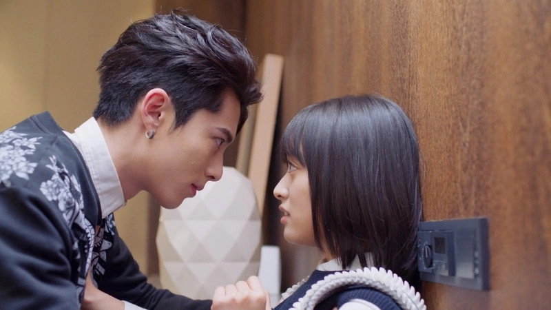 Meteor Garden