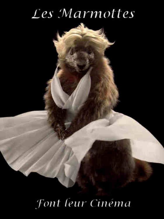 Les Marmottes
